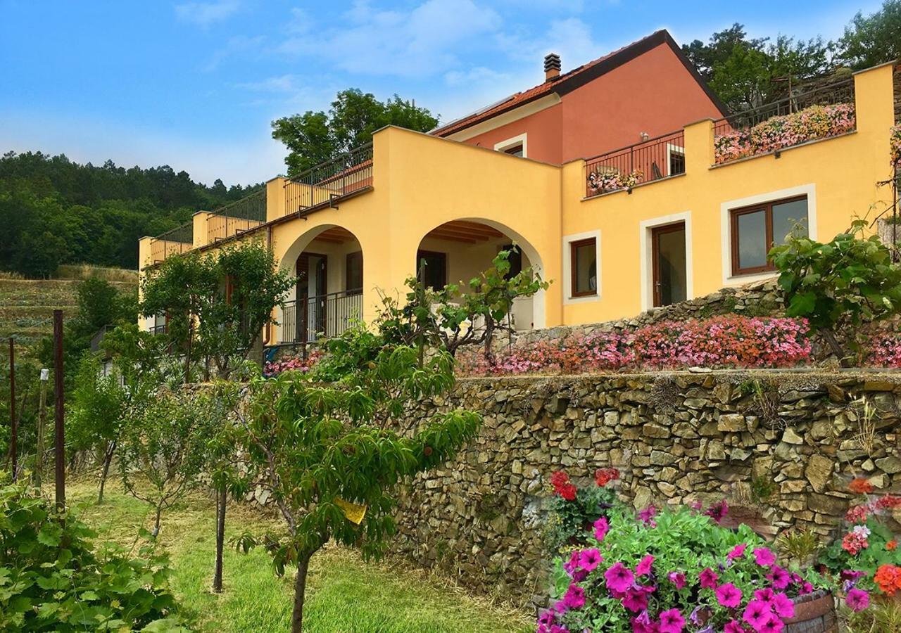 Agriturismo Lavalleggia Tovo San Giacomo Exterior photo